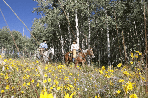 Thing To Do Summer Activities